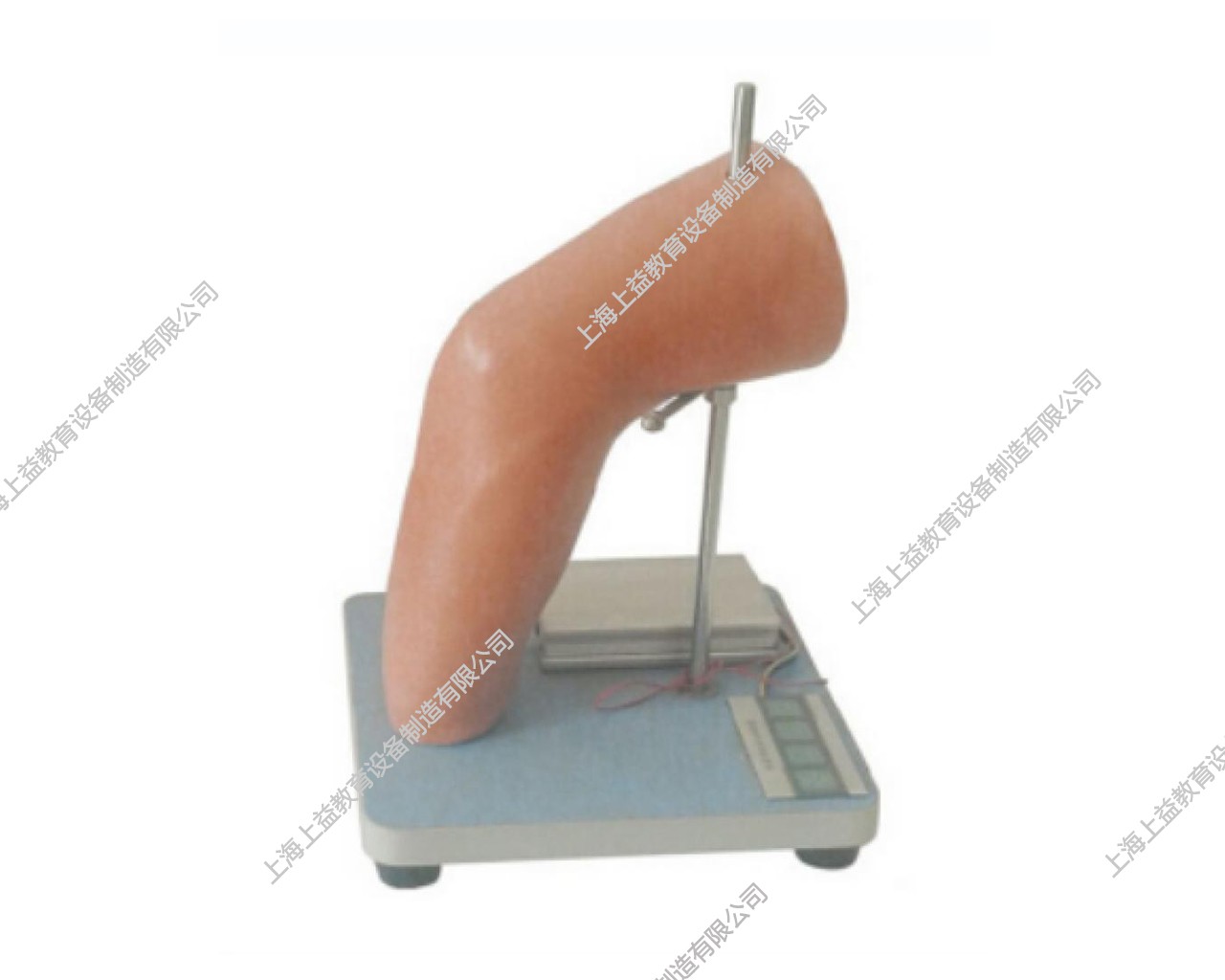 SG7102	高級電子肘關(guān)節(jié)腔內(nèi)注射模型