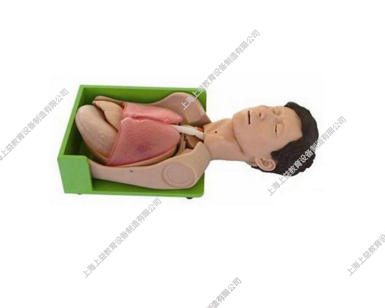 NM2157 透明洗胃、胃腸減壓仿真標(biāo)準(zhǔn)化病人